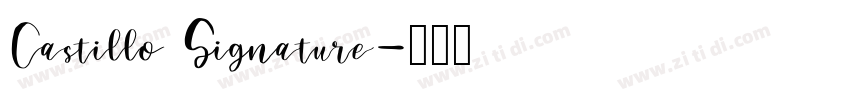 Castillo Signature字体转换